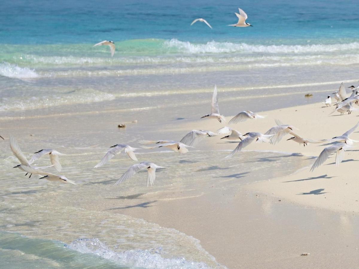 Kiha Beach Dharavandhoo Exterior foto